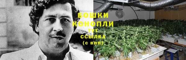 марихуана Беломорск