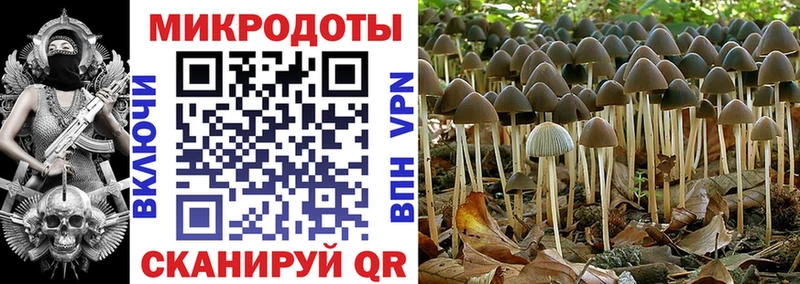 Галлюциногенные грибы GOLDEN TEACHER  кракен tor  дарк нет наркотические препараты  купить  цена  Волосово 